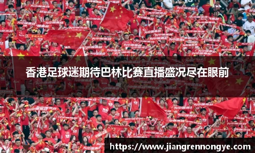 龙珠体育直播在线观看