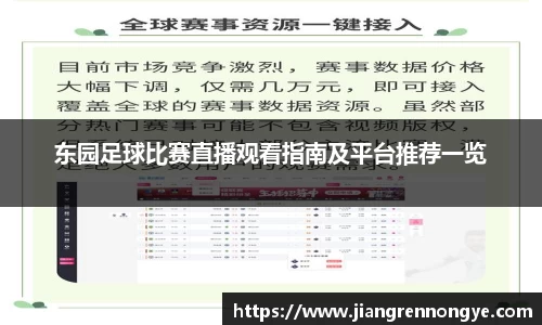 东园足球比赛直播观看指南及平台推荐一览