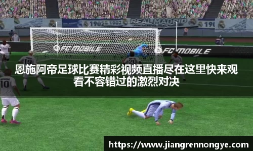 龙珠体育