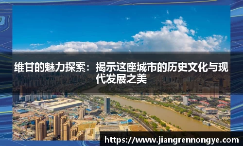 龙珠体育