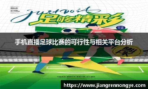 龙珠体育