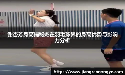 龙珠体育直播